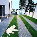 Blue Mare I Gastro Walowka Cieple Napoje W Cenie Pobytu Gasthuis 3*