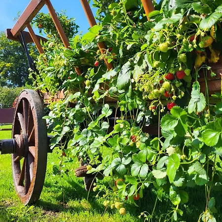 Blue Mare Гостевой дом